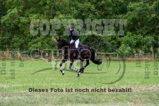 Bonn-Rodderberg Late-Entry-Vielseitigkeit (30.06.2020)