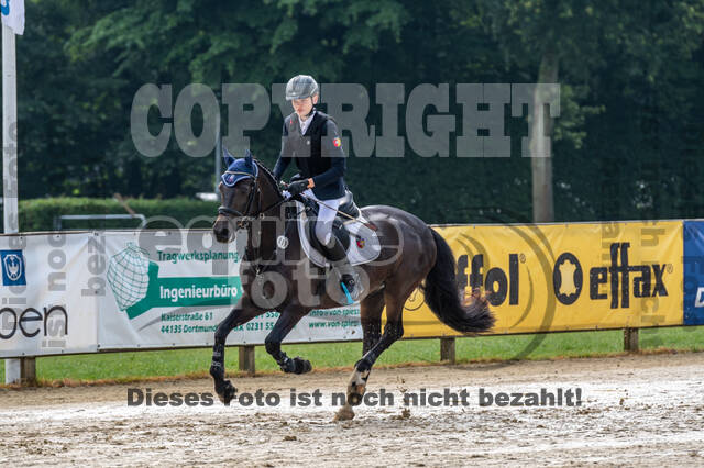 Goldene Schärpe 2021 - Ponys