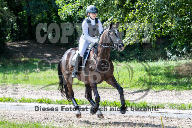 Late-Entry-Vielseitigkeit Langenfeld (06.+07.07.2020)