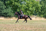 Hunter Geländetraining (16.08.2020)