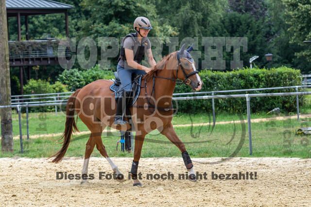 Hunter Geländetraining 10.07.2021 (Sonsbeck)