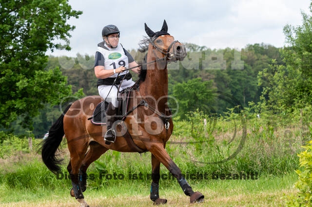 Westerstede Horse Trials 2021