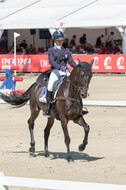 FEI European Championship
