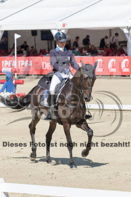 FEI European Championship
