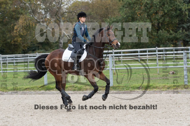 IGV Lehrgang der Sieger der Cups mit Frank Ostholt