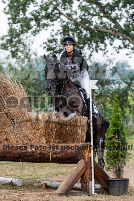 De Peelbergen (August 2020)