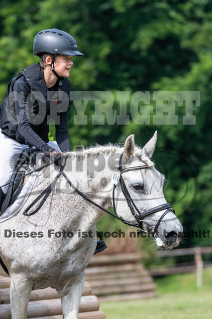 Goldene Schärpe 2021 - Ponys