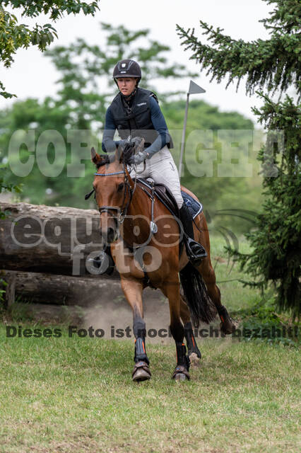 Late-Entry-Vielseitigkeit Langenfeld (11.+13./14.06.2020)