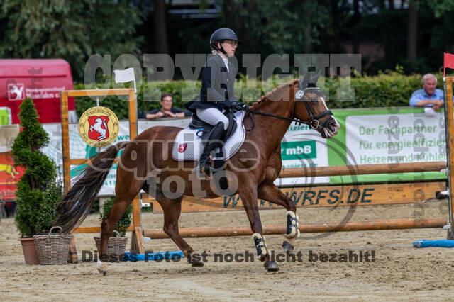 Goldene Schärpe 2021 - Ponys