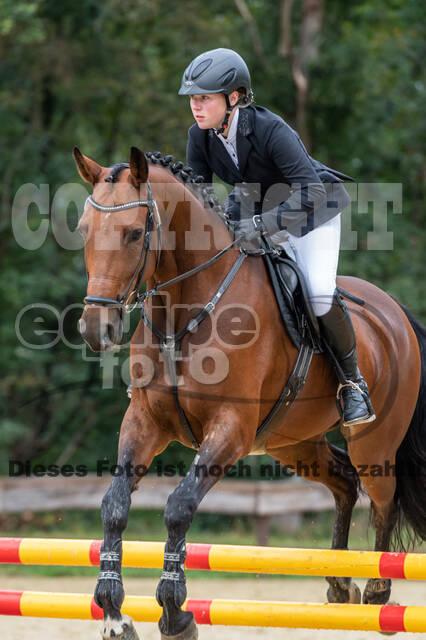 Vielseitigkeit RSV Wesel Obrighoven (26.+27.09.2020)