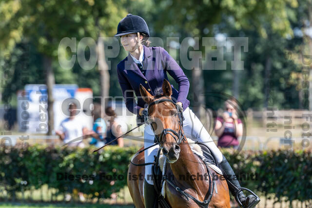 Kronenberg - De Peelbergen (August 2020)