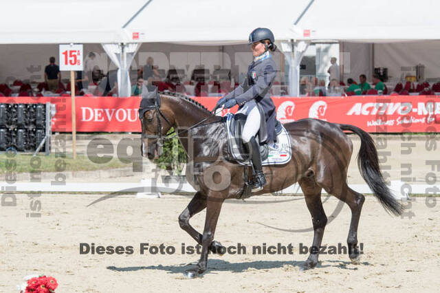 FEI European Championship