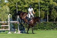 Kronenberg - De Peelbergen (August 2020)