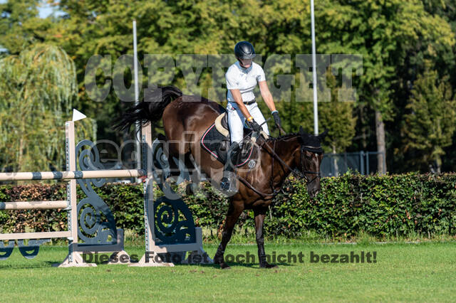 Kronenberg - De Peelbergen (August 2020)
