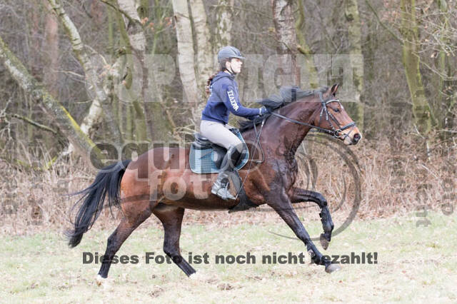 Geländetrainings RSV St. Hubertus Wesel Obrighoven