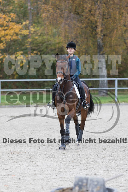 IGV Lehrgang der Sieger der Cups mit Frank Ostholt