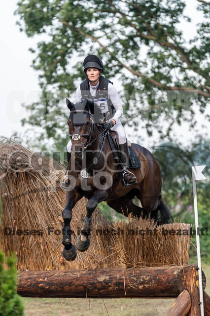 De Peelbergen (August 2020)