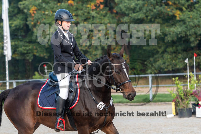 Goldene Schärpe 2020 - Pferde