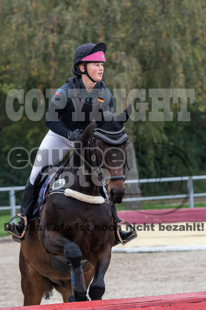 Goldene Schärpe 2020 - Pferde