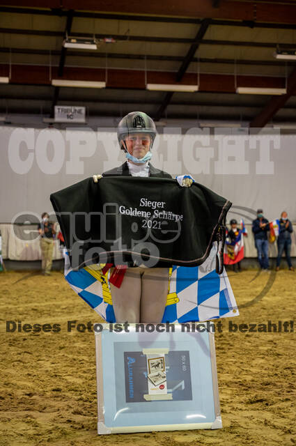 Goldene Schärpe 2021 - Ponys