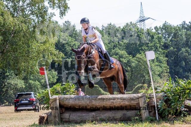 Late-Entry Vielseitigkeit Hamminkeln/Wesel (01.+02.08.2020)