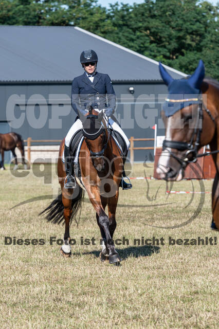 Kronenberg - De Peelbergen (August 2020)