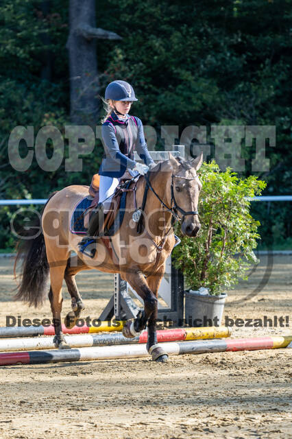 RFV Dinslaken-Hiesfeld (Herbstturnier)