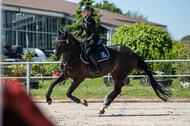Test of Choise Langenfeld (29.+30.05.2021)