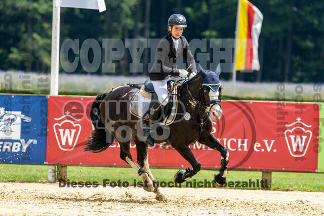 Goldene Schärpe 2021 - Ponys