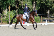 Kronenberg - De Peelbergen (August 2020)
