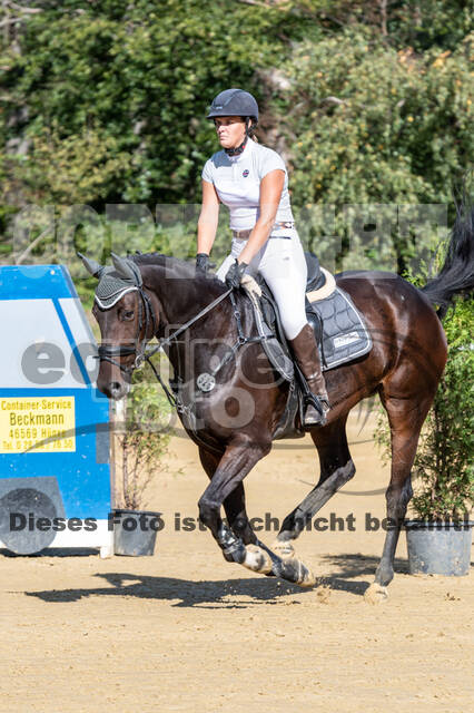 RFV Dinslaken-Hiesfeld (Herbstturnier)