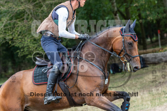 Late-Entry Vielseitigkeit Hamminkeln/Wesel (01.+02.08.2020)