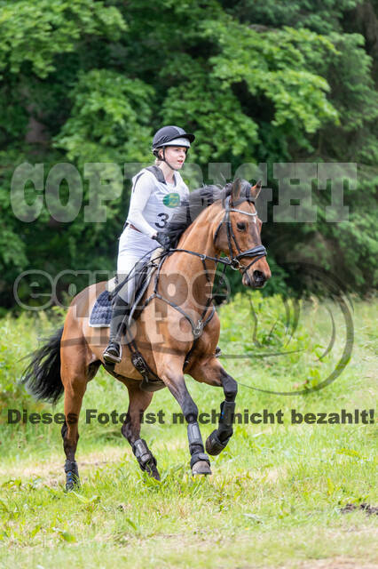Westerstede Horse Trials 2021