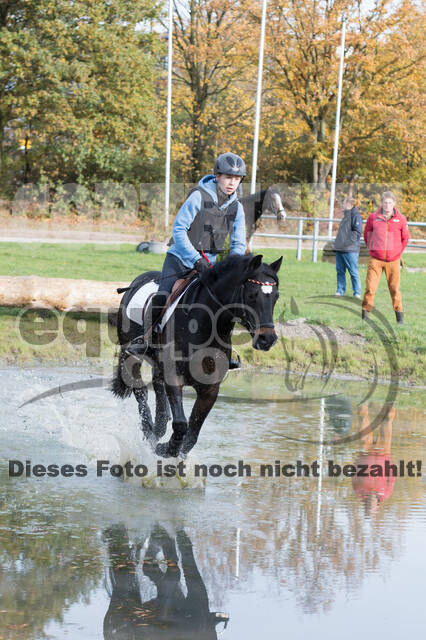 IGV Lehrgang der Sieger der Cups mit Frank Ostholt