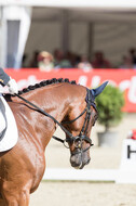 FEI European Championship Eventing 2017