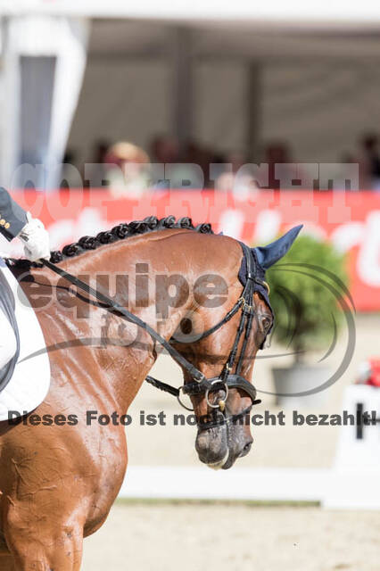 FEI European Championship Eventing 2017