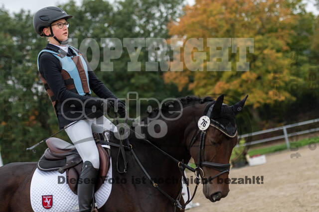 Goldene Schärpe 2020 - Pferde