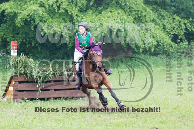 Vielseitigkeitsturnier ZRFV von Lützow Hamminkeln