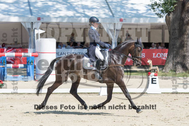 FEI European Championship