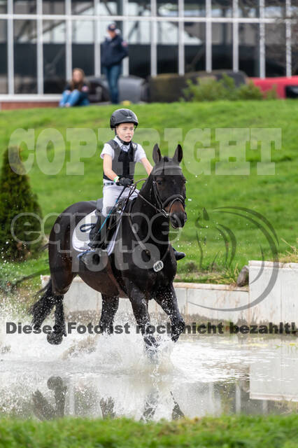 Goldene Schärpe 2020 - Pferde