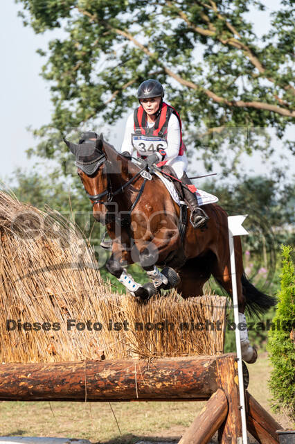 De Peelbergen (August 2020)