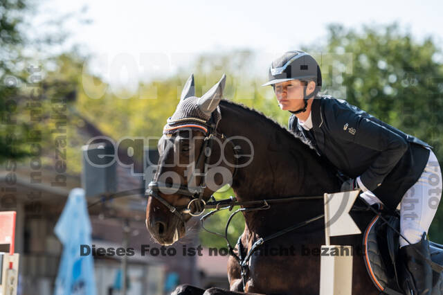 RFV Dinslaken-Hiesfeld (Herbstturnier)
