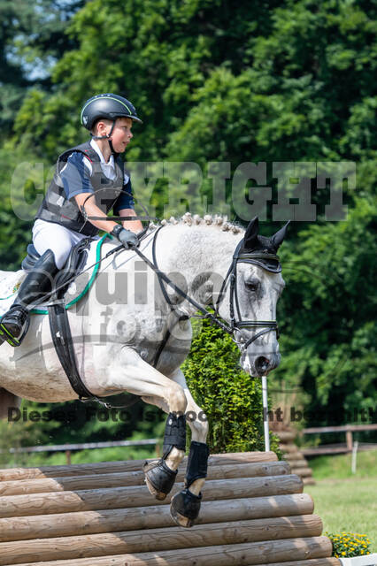 Goldene Schärpe 2021 - Ponys