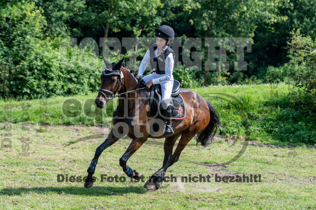 Goldene Schärpe 2021 - Ponys