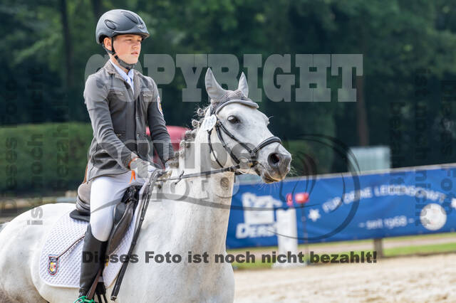 Goldene Schärpe 2021 - Ponys