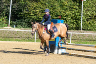 RFV Dinslaken-Hiesfeld (Herbstturnier)