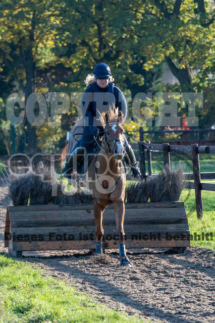 Vielseitigkeitslehrgang mit Jürg Kurbel (9.+10.11.2019)