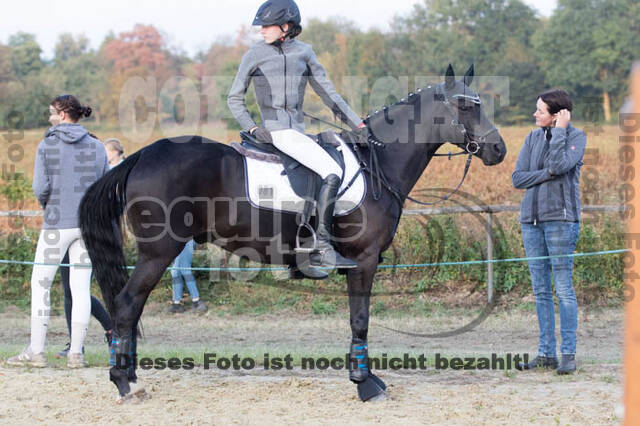 IGV Kleve
