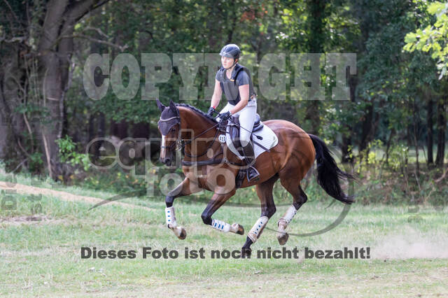 Late-Entry Vielseitigkeit Hamminkeln/Wesel (01.+02.08.2020)