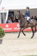 FEI European Championship
